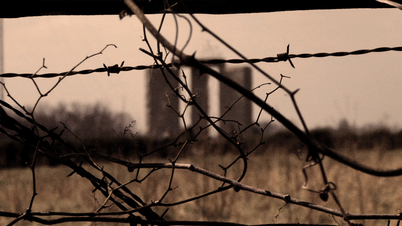 Barbed wire